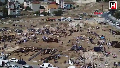 Başakşehir'de boş arsa kaçak kesim yapanlarla doldu