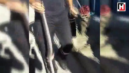 Sanayi sitesine giren yılan  yakalanıp doğaya bırakıldı