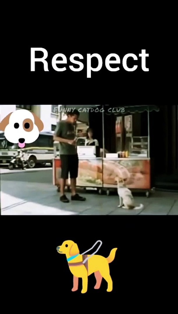 ⁣RESPECT ANIMALS AND HELP THE ANIMALS