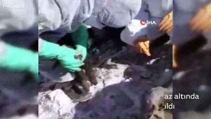 Günler sonra enkazdan canlı oğlak çıkarıldı