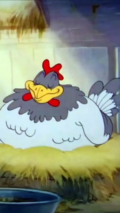 Tom & jerry Bangla, tom & jerry