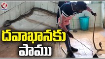 Patients In Panic After Seeing Snake In MGM Hospital | Warangal District | V6 News