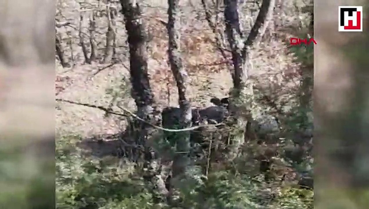 Sakarya’da definecileri şok eden baskın