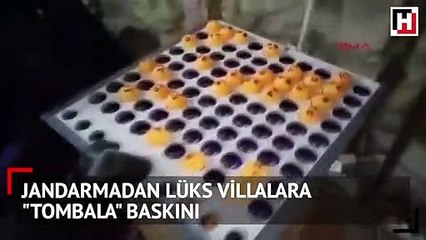 Jandarmadan lüks villalara "tombala" baskını