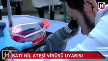5 bin sivrisineği incelediler  Batı Nil Ateşi virüsü uyarısı