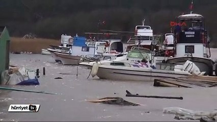 Riva Deresi taştı, tekneler sele kapıldı, işyerlerini su bastı
