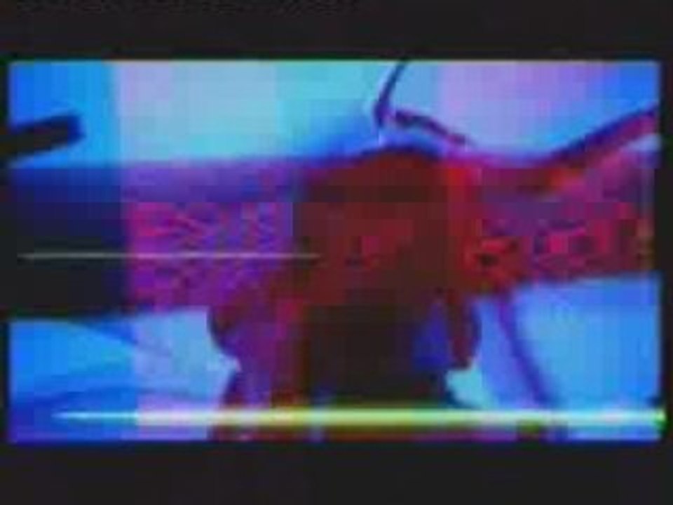 CLIP By Chris Cunningham