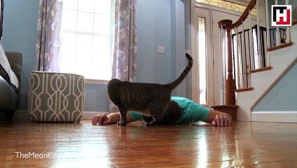 Kedisinin tepkisini merak etti, bu deneyi yaptı!