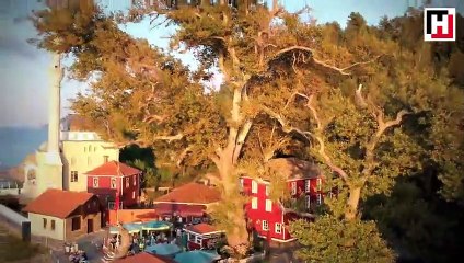 Bu köy, 500 yıllık çınarın gölgesinde serinliyor