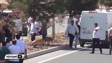 Batman'da bomba yüklü otomobili, polis havaya uçurdu
