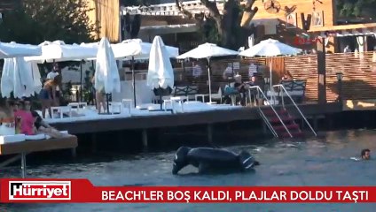 Beach Club'lar boş kaldı, halk plajı tıklım tıklım