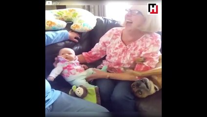 Kendini bebek zanneden köpek!
