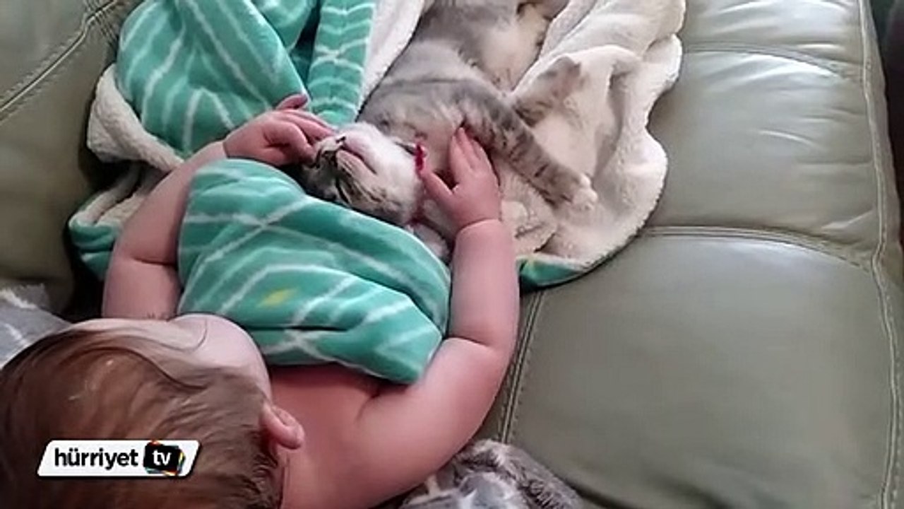 Bebek ile kedinin sevimli dostluğu