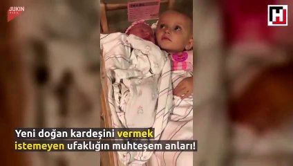 Yeni doğan kardeşini vermek istemeyen ufaklığın muhteşem anları