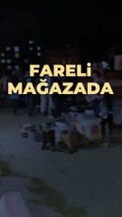 A101’in şubesini fareler bastı
