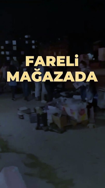 A101’in şubesini fareler bastı