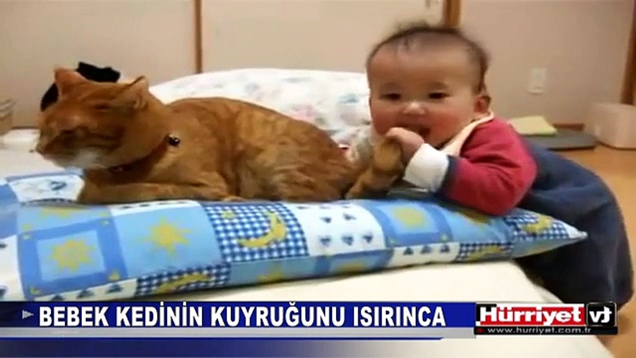 BEBEK KEDİNİN KUYRUĞUNU ISIRINCA