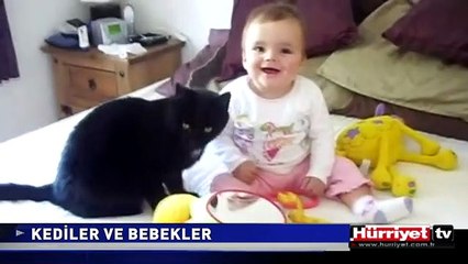 KEDİLER VE BEBEKLER