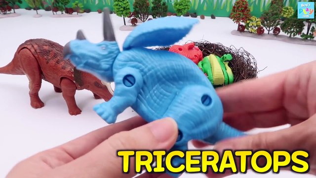 Who's Dinosaur Eggs- Transformer 3D Dino Eggs - T-Rex, Stegosaurus, Brachiosaurus Bone Fossil