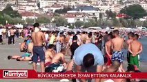 Büyükçekmece'de isyan ettiren kalabalık