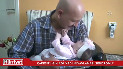 Çaresizliğin adı 'kedi miyavlaması sendromu'