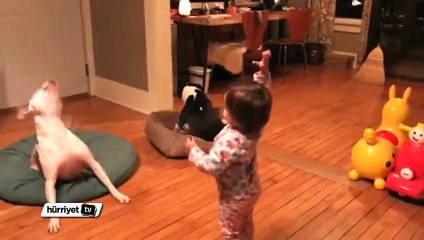 Minik eğitmen ve sevimli dostları