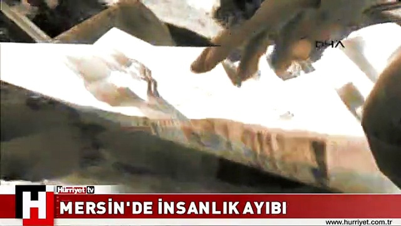 MERSİN'DE BÜYÜK İNSANLIK AYIBI