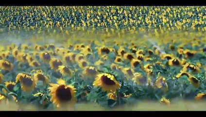 Tarım Bizim Geleceğimiz belgeseli 30 Eylül Çarşamba Akşamı Kanal D’de