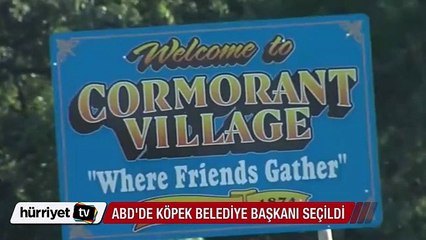 Köpek, belediye başkanı seçildi