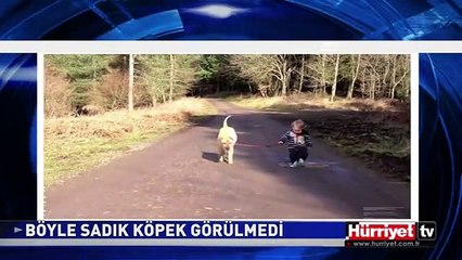 BÖYLE SADIK KÖPEK GÖRÜLMEDİ