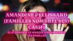Amandine Pellissard (Familles Nombreuses) cash : elle dénonce le manque d'authenticité des familles