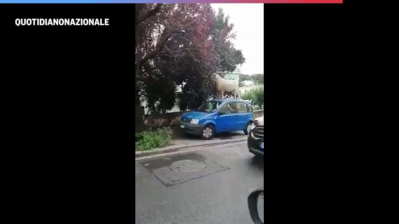 E Mentre Il Sole Sale Sale Su