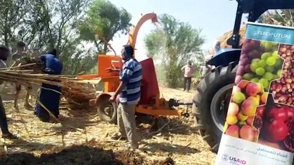 مشروعات صديقة للبيئة.. السماد العضوى فى المنيا يفوز بمؤتمر المبادرة الوطنية للمشروعات الخضراء الذكية