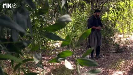 Τρικυμία επ23