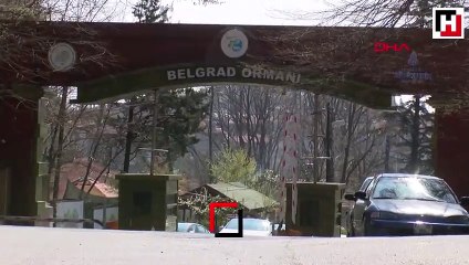 Belgrad Ormanı'nda ölü bulundu