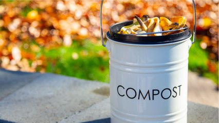 Das beste Hausmittel für den Garten: So wird Laub zu Kompost