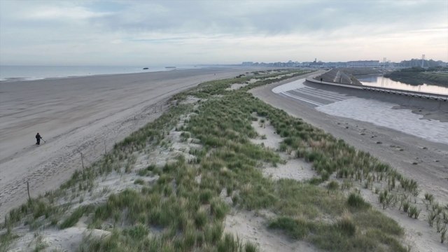 Actus : La digue des Alliés réensablée, explications - 14 octobre 2020