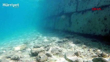 Bodrum'daki şaşkına çeviren görüntüde yeni gelişme