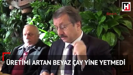 Üretimi artan beyaz çay yine yetmedi