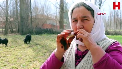 'Yaşayan İnsan Hazinesi' seçildi