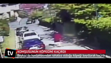 Komşusunun köpeğini bayıltarak kaçırdı