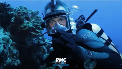 Ce week-end sur RMC Découverte - 16 octobre