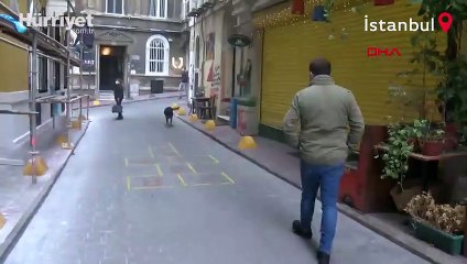 Beyoğlu'nda cep telefonu hırsızlığını köpek önledi