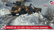 Bingöl'de 197 köy yolu kardan kapandı