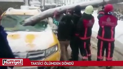 Fırtınadan kopan çam ağacı taksinin ön camından içeri girdi