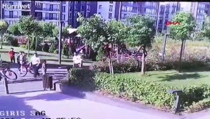 Köpeğiyle oynadığı için komşu çocuğunu darp etti