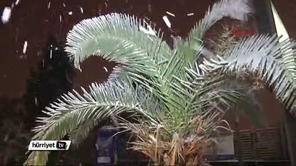 Kar İstanbul'u etkisi altına aldı