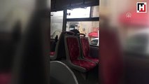 Otobüse binen sokak köpeği şoför koltuğuna oturdu
