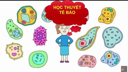 Minh họa Học thuyết tế bào