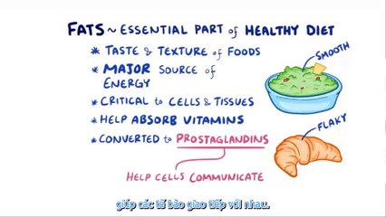Minh họa Phân tử sinh học Lipid